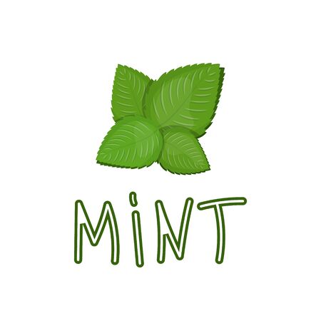 Mint green vector illustration with handwritten textのイラスト素材