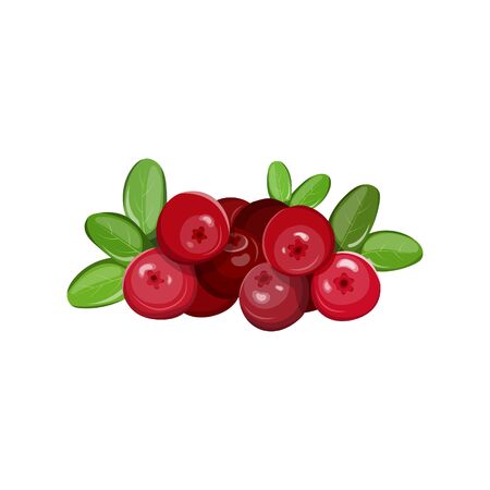 Cranberries isolated icon. Vector illustration for pattern, badge, label, textile, tag etcのイラスト素材