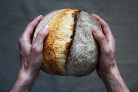 Baker man holding white sourdough bread. Homemade bread.の写真素材