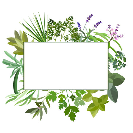 Frame with fresh herbs and spices. Banner with leaf and grass. Floral flat design elements. Vector illustration.のイラスト素材
