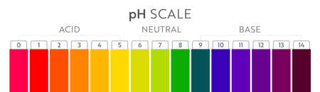 pH Value scale chart. Acid-base balance infographic. Education Posterのイラスト素材