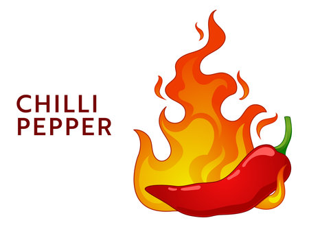 Chili pepper in fire. Spicy food level. Food infographic.のイラスト素材