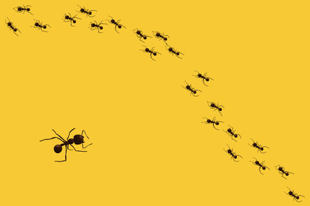 Black ant trail. Working insect curve group silhouettes isolated on yellow background. Vector illustration.のイラスト素材