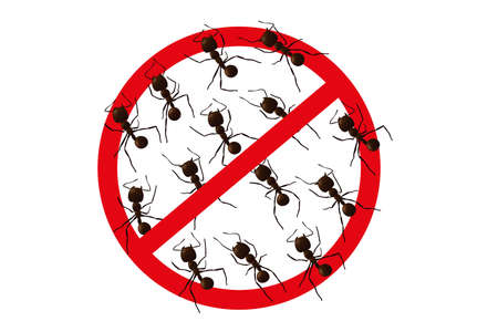 No ant sign. Insect silhouettes in warning sign isolated on white background. Caution and stop vector illustration.のイラスト素材