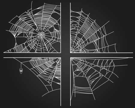 Spider web corners isolated on black background. Scary cobweb outline decor. Vector design elements for Halloween, horror, ghost or monster party, invitation and posters.のイラスト素材