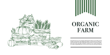 Organic farm banner for decorationのイラスト素材