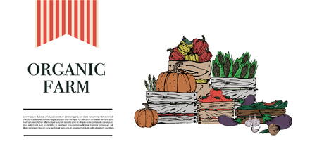 Natural vegetables in boxes. Healthy foods vegetables on a white background. Banner, poster, signboard for the farmer. Vectorのイラスト素材