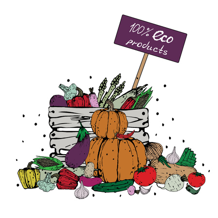 Farm eco-friendly vegetables. Natural products from the farm. Vector. Vintage style.のイラスト素材