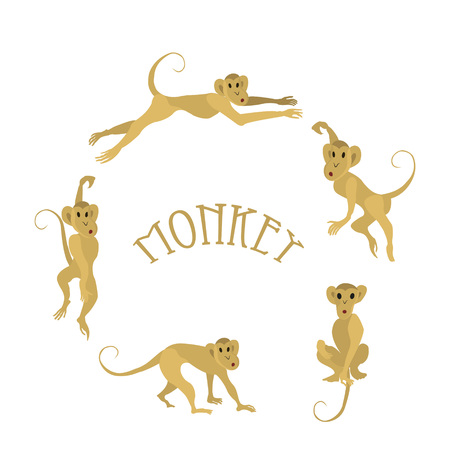 Set of monkeys. 2016 New Year Symbolのイラスト素材