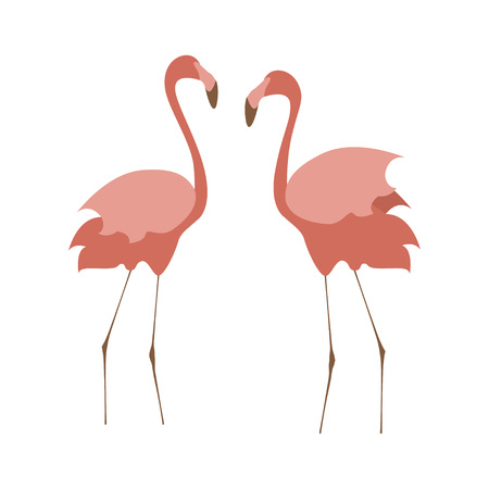 Wild birds element and icon. Illustration of pink flamingo in modern flat design. Isolated on white background. Vector ep10のイラスト素材