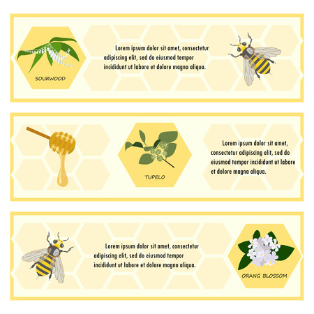 Honey set for bannerのイラスト素材