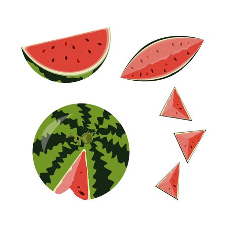 ed fruit watermelonのイラスト素材