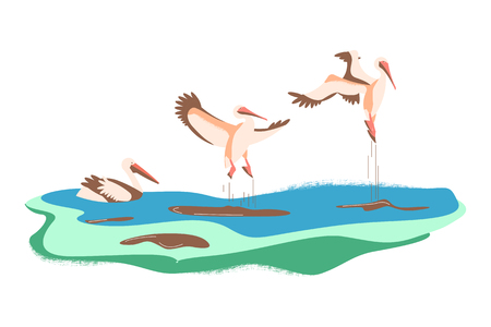 Wild birds in flat modern design. Cartoon pelicans in different poses on a green background. Vector illustration eps 10.のイラスト素材