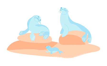 Sea lions family are sunbathing on seaside in flat cartoon style. Vector illustrationのイラスト素材