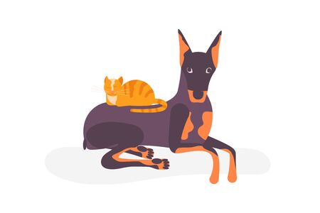Cat vs dog concept. The kitty lies and sleeps on the back of a large dog. Flat Art Vector Illustrationのイラスト素材
