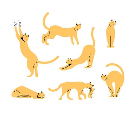 Set of funny cats isolated on white
