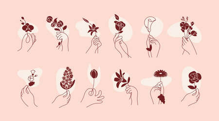Hands with flower in trendy outline minimal styleのイラスト素材