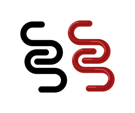 abstract letter double S isolated on white background. Flat Art Vector Illustrationのイラスト素材