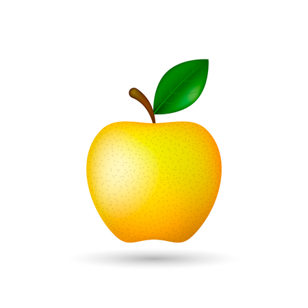 Apple illustration. Vector isolated illustration on white background.のイラスト素材