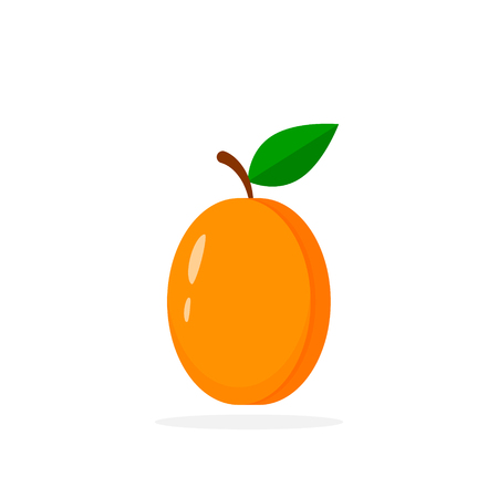 Apricot with leave Icon. Vector isolated symbol.のイラスト素材