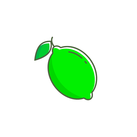 Lime vector icon illustration isolated on white background.のイラスト素材