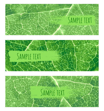 Vector nature green leaf banners set. Background with hand drew brush strokesのイラスト素材