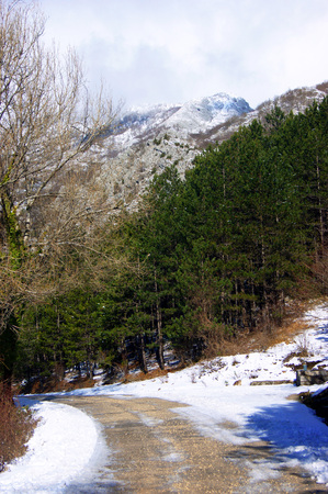 Snow-covered roadの写真素材