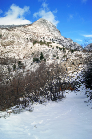 in the mountainsの写真素材