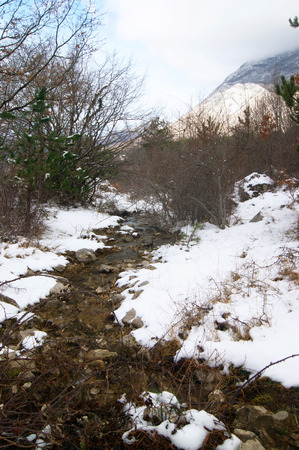 Stream in the mountainsの写真素材
