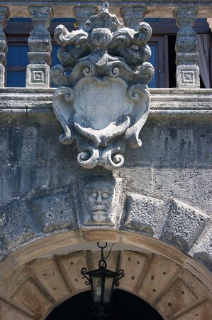 Family coat of arms Buyovichの写真素材