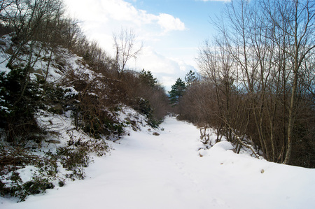The road in the mountains in winterの写真素材