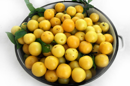 Yellow cherry plumの写真素材