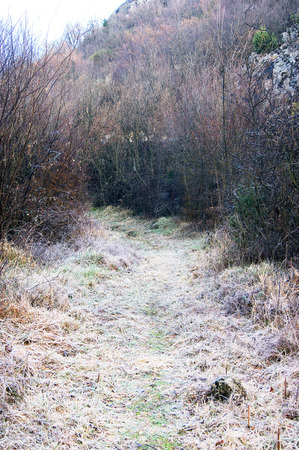 Early winter morning in natureの写真素材