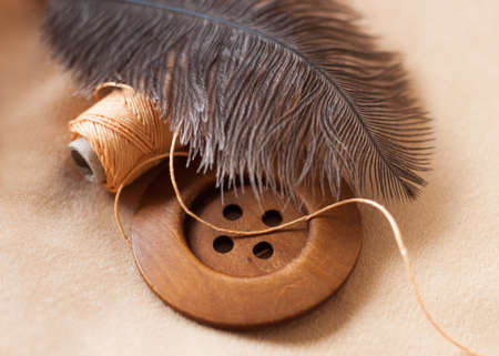 Wooden button and spool of thread undera feather