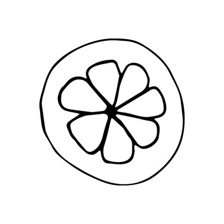 Caricature of citrus slices without pouring on an isolated white background. Doodle style. Vector and stock illustration. For print on fabric, clothes, wallpaper, icon for social network.のイラスト素材