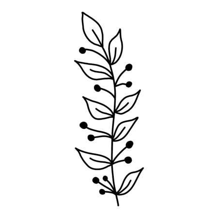 Serve with leaves. Botanical illustration. Black and white engraved ink art. Leaves of plants of a botanical garden, flower foliage. Isolated leaf illustration element. Vector design elements.のイラスト素材