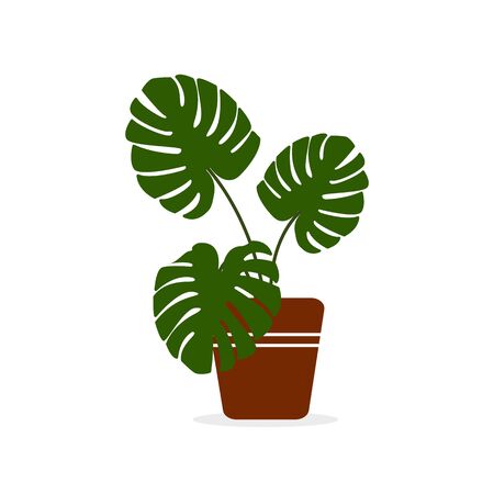  Indoor green plant in a flower pot in brown on an isolated white background. Vector illustration on an isolated white background. Modern abstract simple flat art style.のイラスト素材