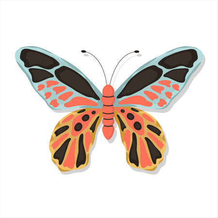 Elegant exotic butterfly on an isolated white background. Tropical insect with colorful curls and antennae. Vector stock illustration. Flat style and cartoon. Hand drawn illustrationのイラスト素材
