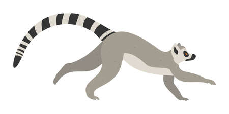 Cute funny lemur on an isolated white background. Vector stock illustration. Hand-drawn...