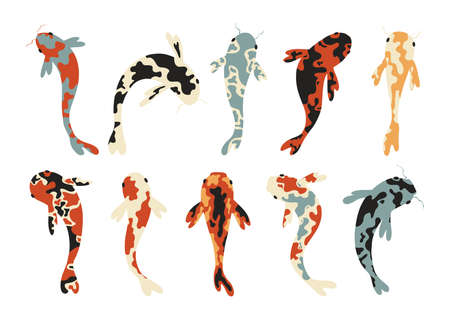 Set of koi carps. Koi japanese fish. Koi symbol of wealth. Aquarium fish. Vector stock illustration. Colorful isolated carps. All objects are isolated.のイラスト素材