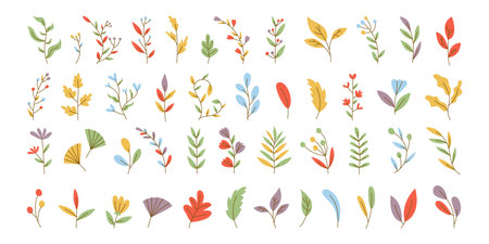 Various Branches with Flowers, Leaves and Berries. Hand drawn Colorful trendy illustration. All elements are isolated. Vector stock illustration, all elements isolated.のイラスト素材