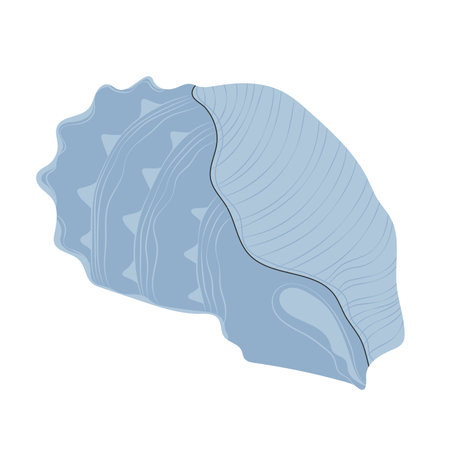 Sea underwater shell with spikes. Seashell, undersea mollusc. Twisted spiral conch, shellfish. Ocean clam with thorns, spines. Marine mollusk. Flat vector illustration isolated on white backgroundのイラスト素材