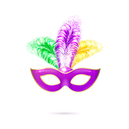 Vector illustration of violet Venetian carnival mask with colorful feathersのイラスト素材