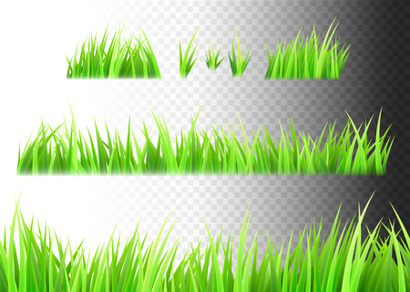 Grass vector isolated on white, black and transparent background. Tufts of grassのイラスト素材