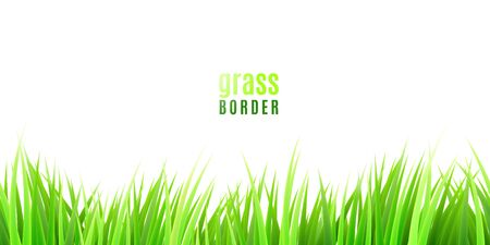 Grass seamless border with fresh green tufts isolated on white backgroundのイラスト素材