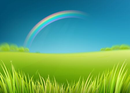 Summer meadow field with rainbow after rain. Nature background with green grass.のイラスト素材