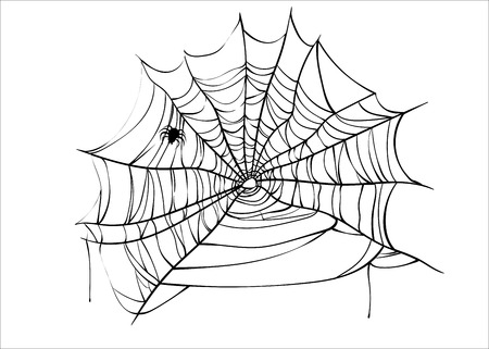 Halloween spiderweb vector with spider isolated on white backgroundのイラスト素材