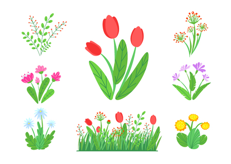 Spring garden flowers vector with blooming grass border. Simple plant bouquet illustration. Springtime nature elements isolated on white background.のイラスト素材