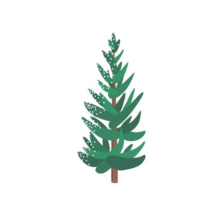 Fir tree with snow texture. Pine xmas vector illustration isolated on white background. Simple flat cartoon green spruce plant for christmas decoratingのイラスト素材