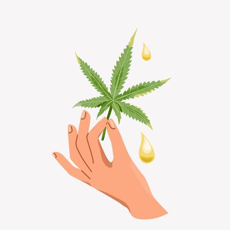 Cannabis leaf with drop oil, human hand holding marijuana. Isolated on light background. Vector illustration in flat simple trendy styleのイラスト素材